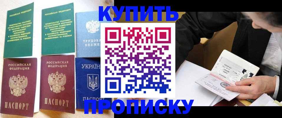 прописка для школы в Яхроме